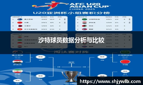 沙特球员数据分析与比较